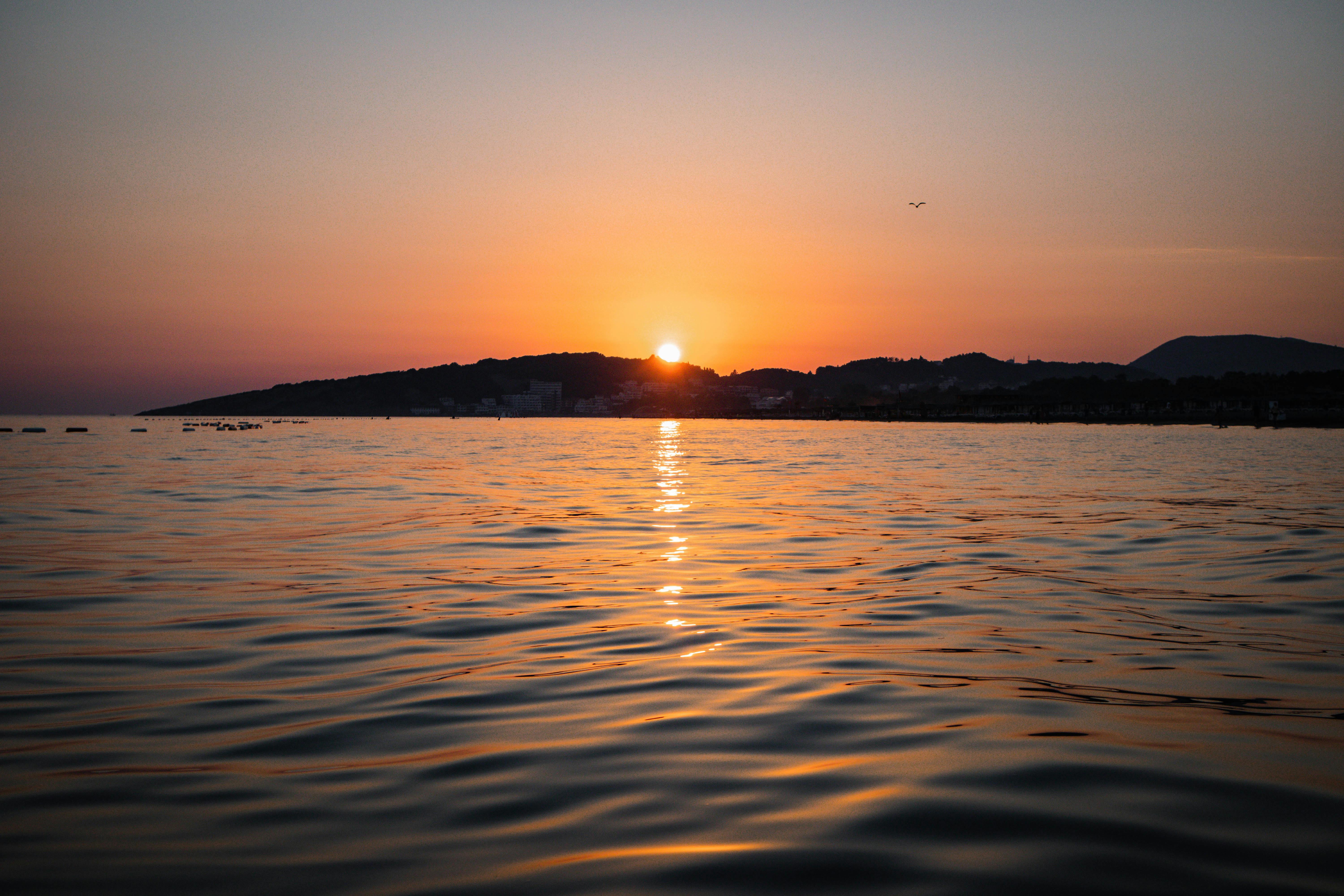 Evening relax